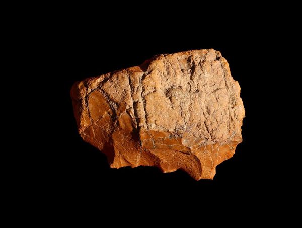 کشف نشانه‌های حیات ۴۰ هزار ساله در هرمزگان!