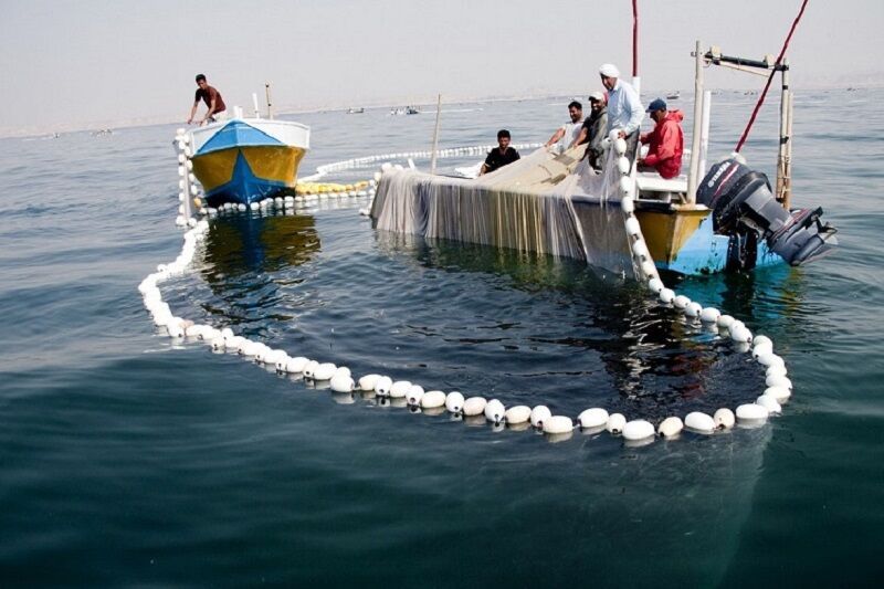 بنزین ۳۰۰۰ تومانی هزینه تولید ماهی و میگو را افزایش می‌دهد_سخنگوی اتحادیه صیادان کشور
