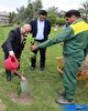 کاشت نهال به مناسبت روز درختکاری با حضور مدیر عامل منطقه ویژه اقتصادی خلیج فارس