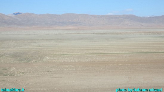 کافترِ هچنان تشنه...+عکس