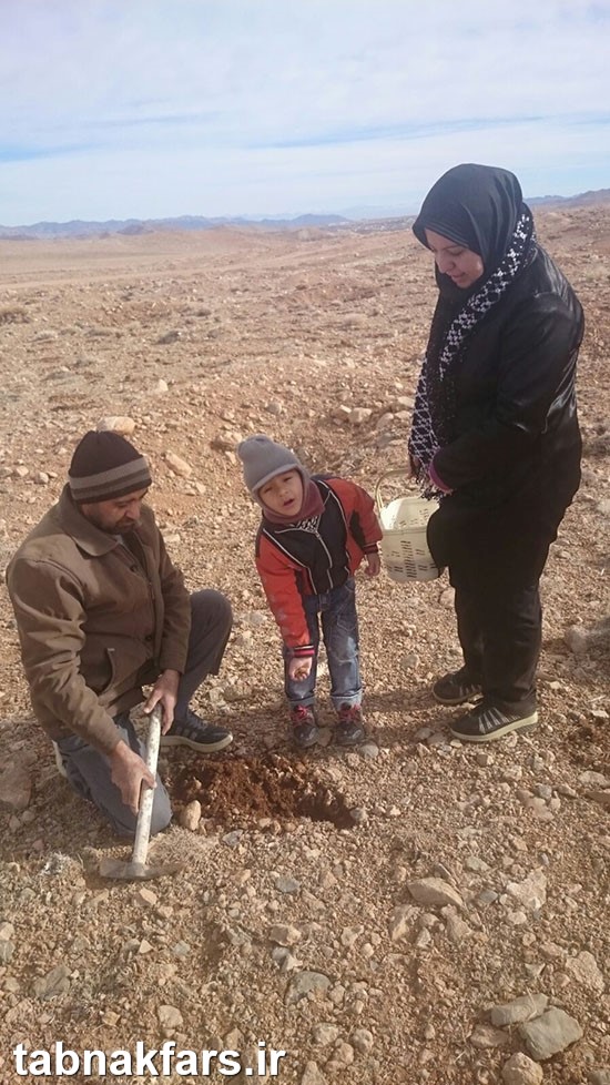 اقلیدی ها برای خود بهشت می سازند اقلیدی ها برای خود بهشت می سازند