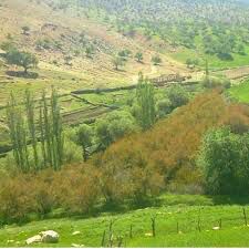 احداث تصفیه‌خانه‌ فاضلاب روستایی در در یکی از قدیمی ترین روستاهای کهگیلویه