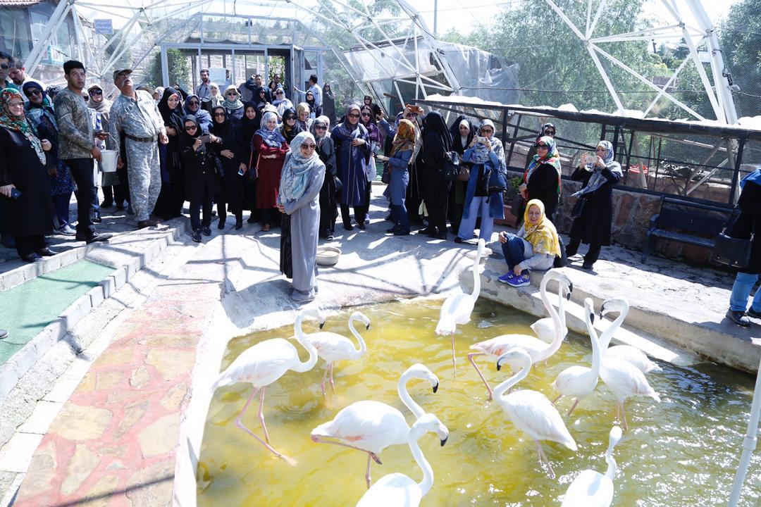 همسران سفرا با جاذبه های گردشگری و اقتصادی قزوین آشنا شدند همسران سفرا با جاذبه های گردشگری و اقتصادی قزوین آشنا شدند