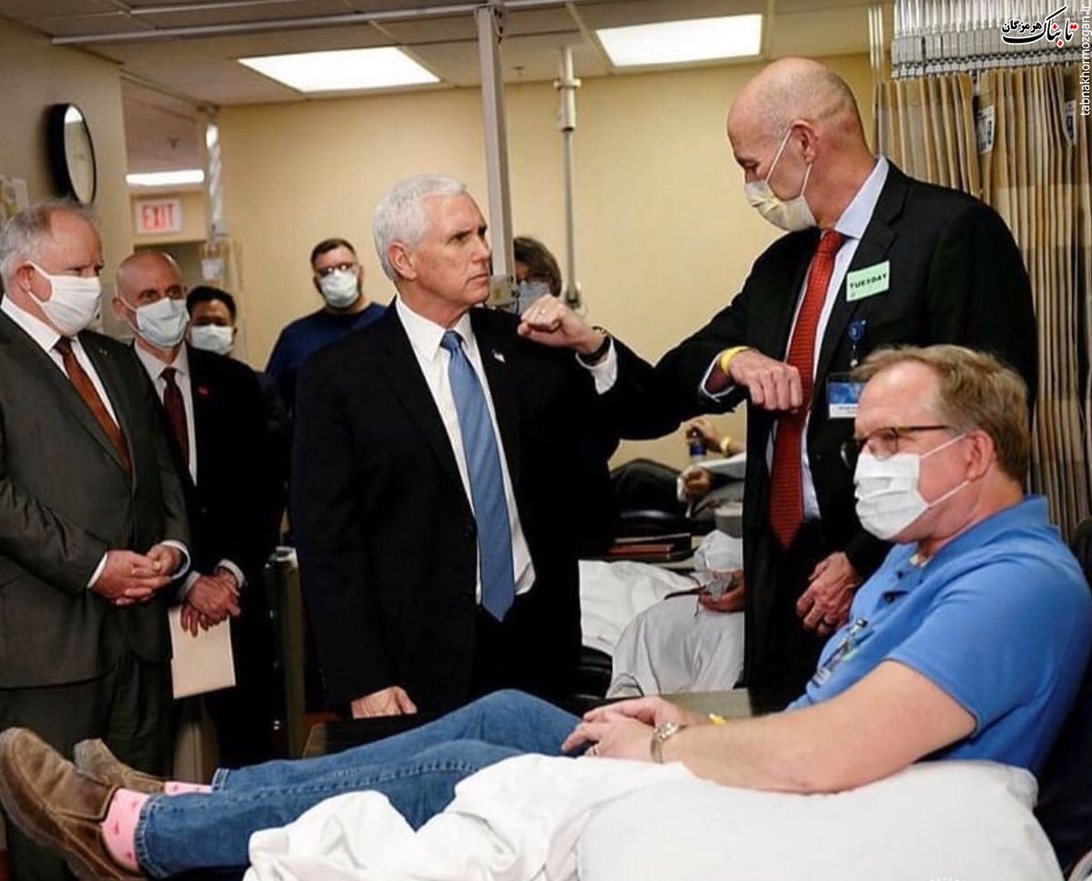 وجه مشترک ابلهان در سرتاسر جهان وجه مشترک ابلهان در سرتاسر جهان