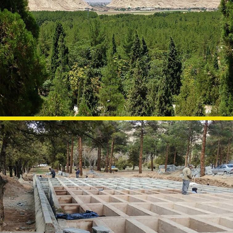 مردههای کرونایی چرا درست سر دو نبش خیابان شهدا و خیابان پارک جنگل قائم دفن میشوند؟ مردههای کرونایی چرا درست سر دو نبش خیابان شهدا و خیابان پارک جنگل قائم دفن میشوند؟