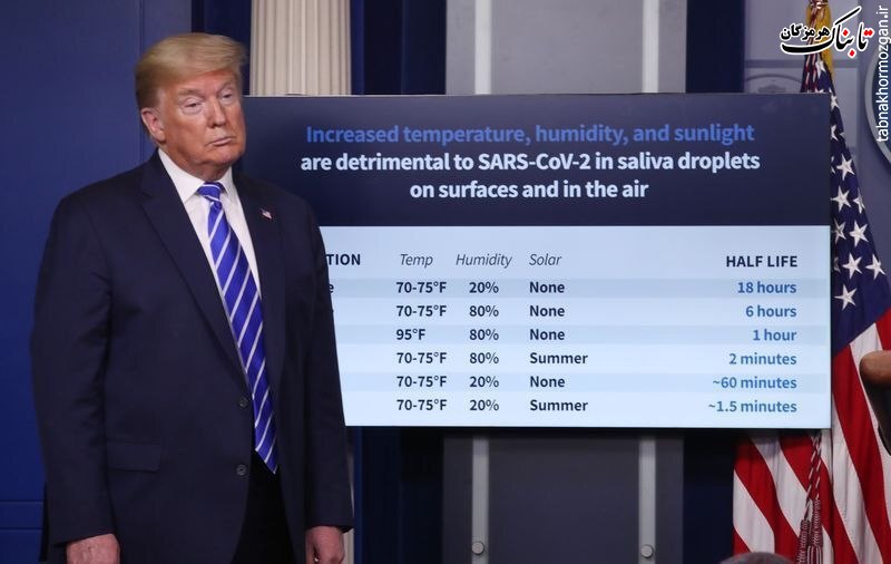 وقتی احمقها بر سر کارند، کار برای همه سخت میشود وقتی احمقها بر سر کارند، کار برای همه سخت میشود