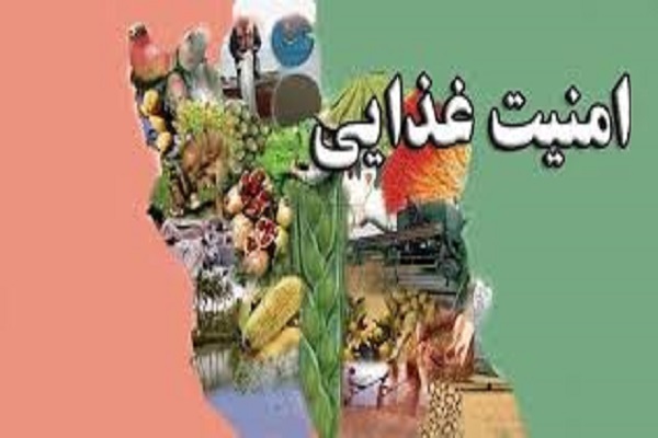 خودکفایی گندم در تأمین امنیت غذایی کشور مهم است؛ افزایش تولید گندم در کشور