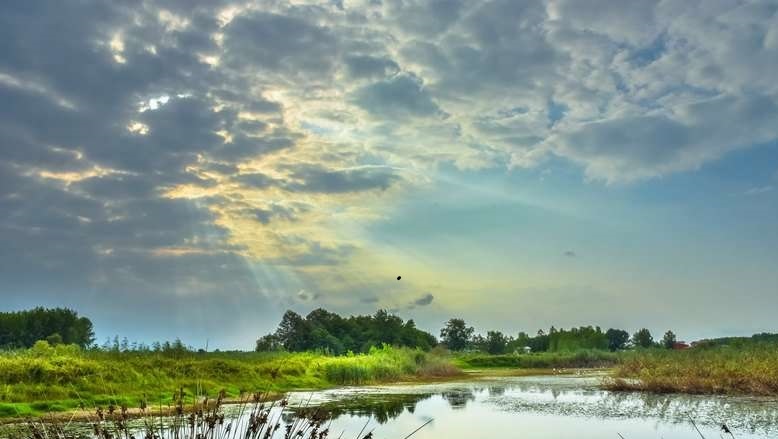 تغییر رویه در مدیریت منابع آب، تنها راه نجات پریشان و کافتر تغییر رویه در مدیریت منابع آب، تنها راه نجات پریشان و کافتر