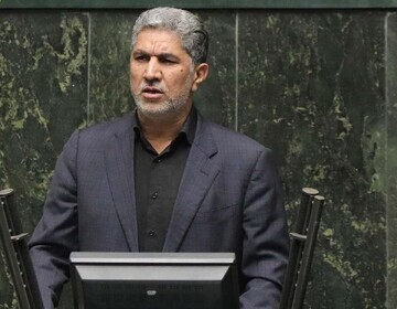 ۳ درصد از صندوق توسعه ملی به طرحهای کشاورزی اختصاص یافت