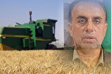 قیمت خرید تضمینی گندم در کهگیلویه و بویراحمد اعلام شد + فیلم