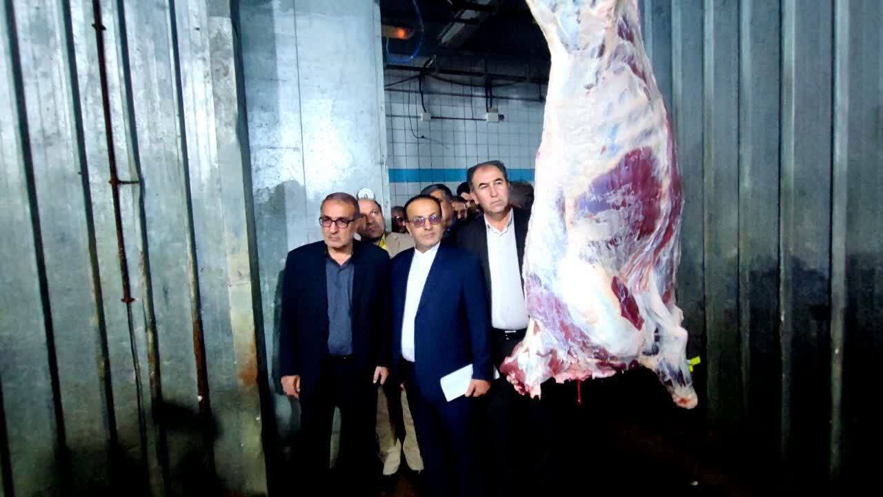 کهگیلویه و بویراحمد در تامین گوشت قرمز خودکفا می‌شود + فیلم