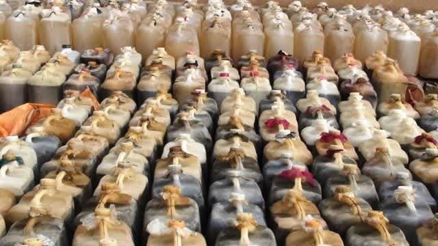 کشف ۴۸۴۰ لیتر سوخت قاچاق در مرز پرویزخان/ دو خودروی حامل توقیف شد