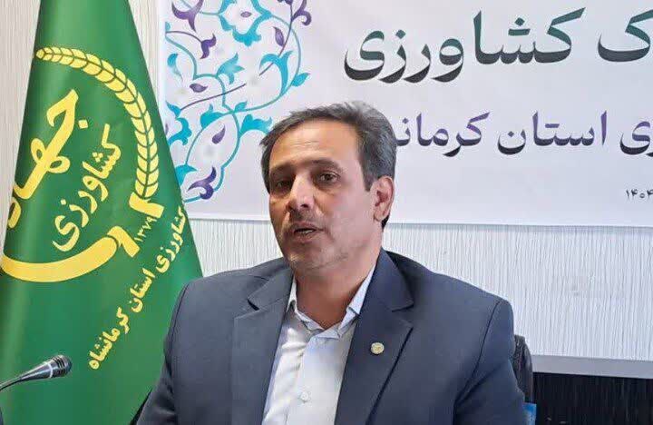 تحقق ۱۰۷ درصدی تولید بذور اصلاح شده در کرمانشاه