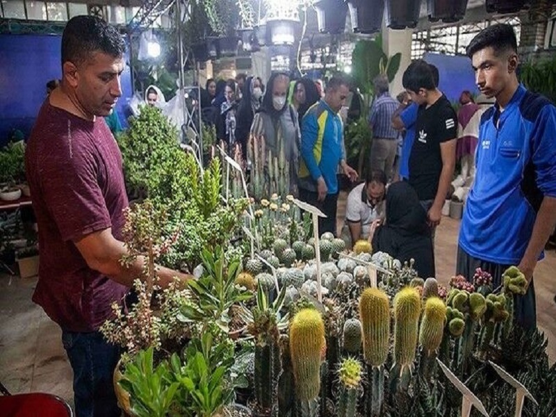 کرمانشاه میزبان جشنواره رنگارنگ گل و گیاه + فیلم