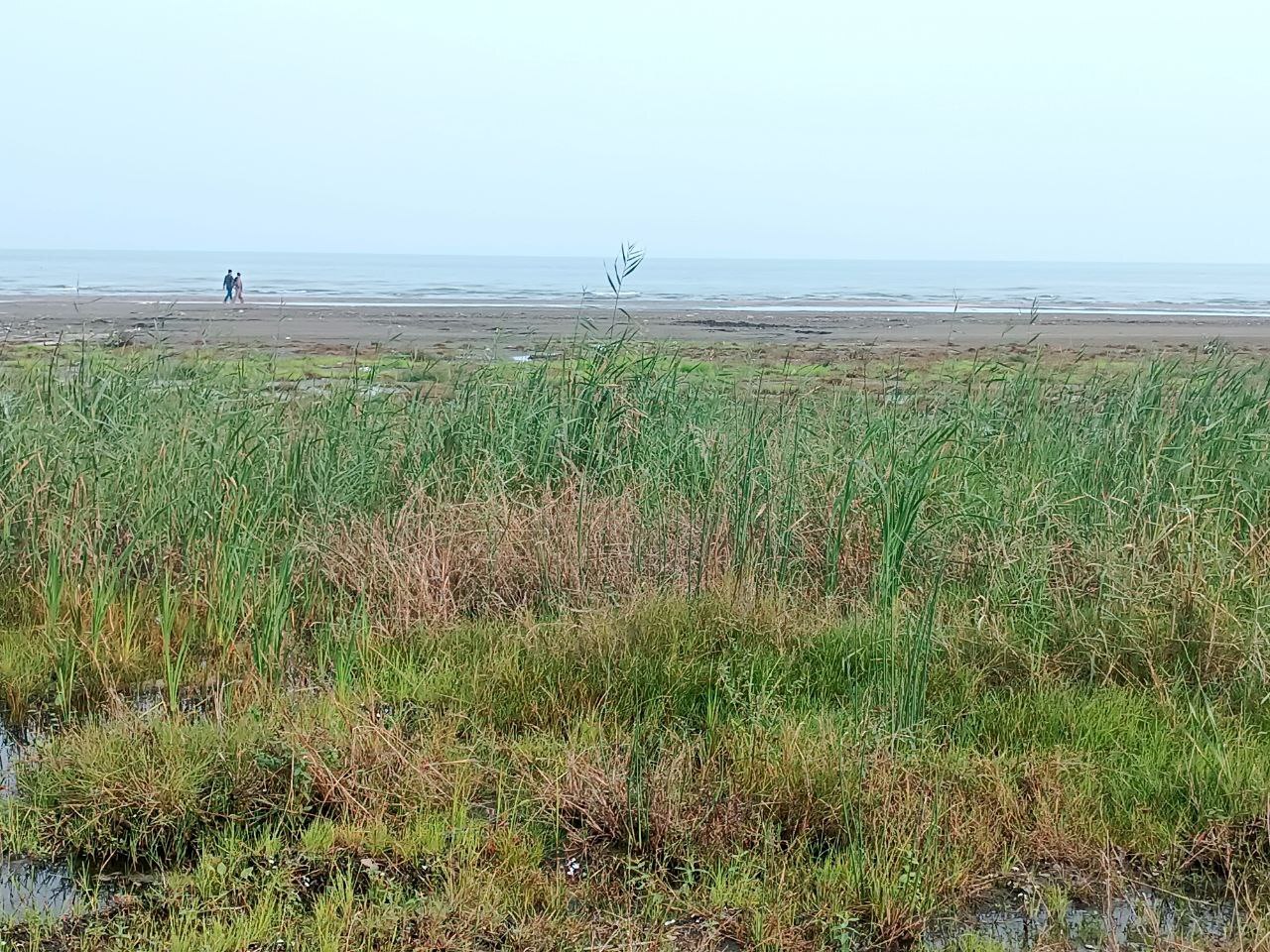 عقبنشینی ۲۰۰ متری خزر در شمال کشور/هشدار بزرگ برای شمال ایران عقبنشینی ۲۰۰ متری خزر در شمال کشور/هشدار بزرگ برای شمال ایران