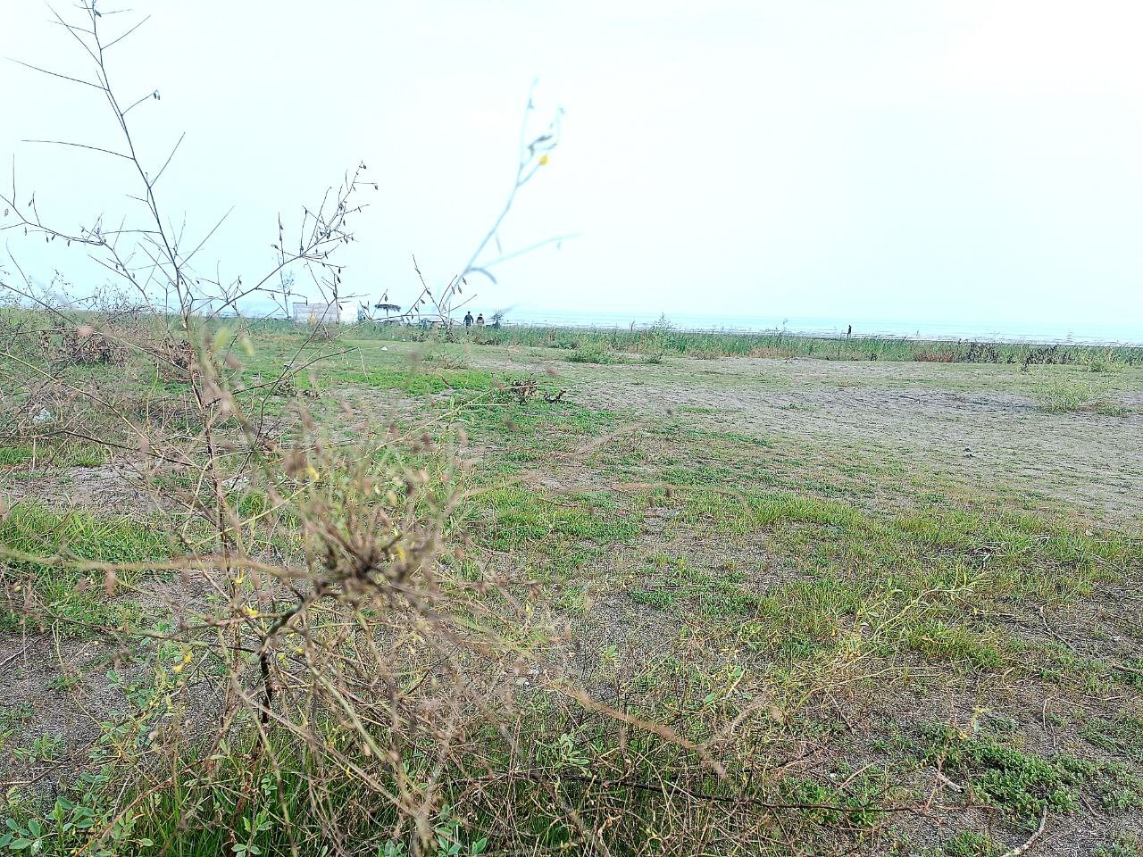 عقبنشینی ۲۰۰ متری خزر در شمال کشور/هشدار بزرگ برای شمال ایران عقبنشینی ۲۰۰ متری خزر در شمال کشور/هشدار بزرگ برای شمال ایران