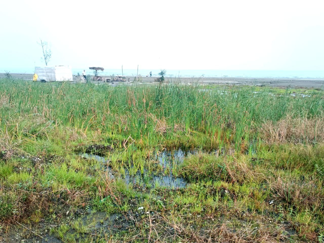 عقبنشینی ۲۰۰ متری خزر در شمال کشور/هشدار بزرگ برای شمال ایران عقبنشینی ۲۰۰ متری خزر در شمال کشور/هشدار بزرگ برای شمال ایران