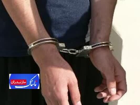 کشف اموال سرقتی به ارزش ۲ میلیارد ریال در نور/سارق ۱۲ منزل در شهرستان نور دستگیر شد