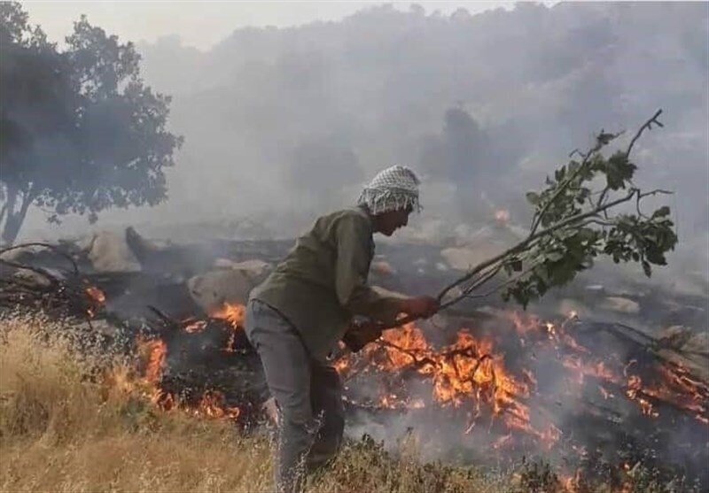 فعالیت ۲۲ تیم واکنش سریع برای مهار حریق در کرمانشاه فعالیت ۲۲ تیم واکنش سریع برای مهار حریق در کرمانشاه