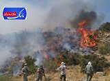 آتش‌سوزی در جنگل هیرکانی گسترش یافت/ اعزام هواپیمای اطفای حریق بعد از 19 روز!