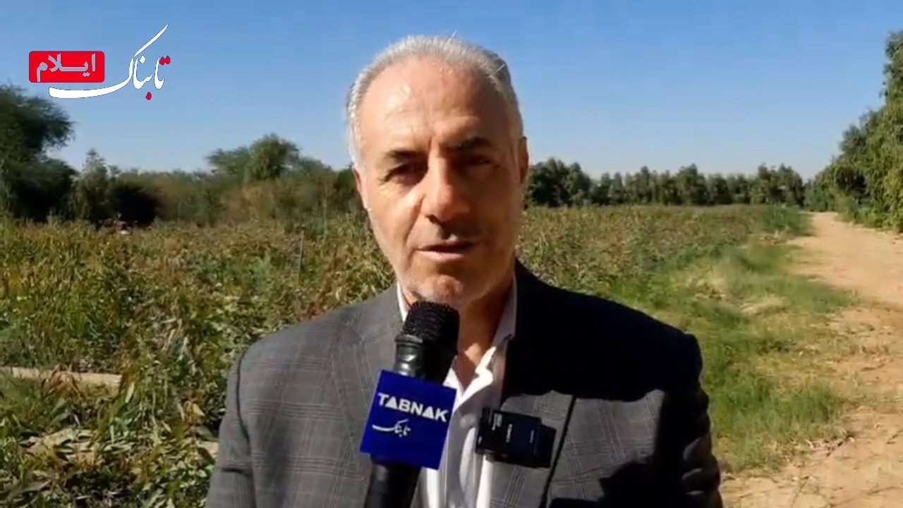 غرس بیش از ۳۵۰ میلیون نهال در اجرای طرح «یک میلیارد درخت» + فیلم غرس بیش از ۳۵۰ میلیون نهال در اجرای طرح «یک میلیارد درخت» + فیلم