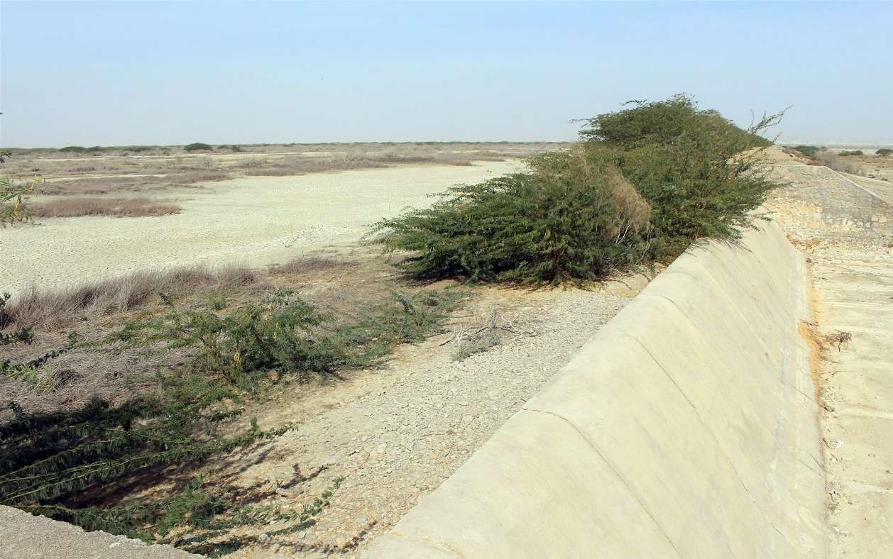 فرسایش و شوری خاک، چالش مهم کشاورزی در تربت حیدریه فرسایش و شوری خاک، چالش مهم کشاورزی در تربت حیدریه